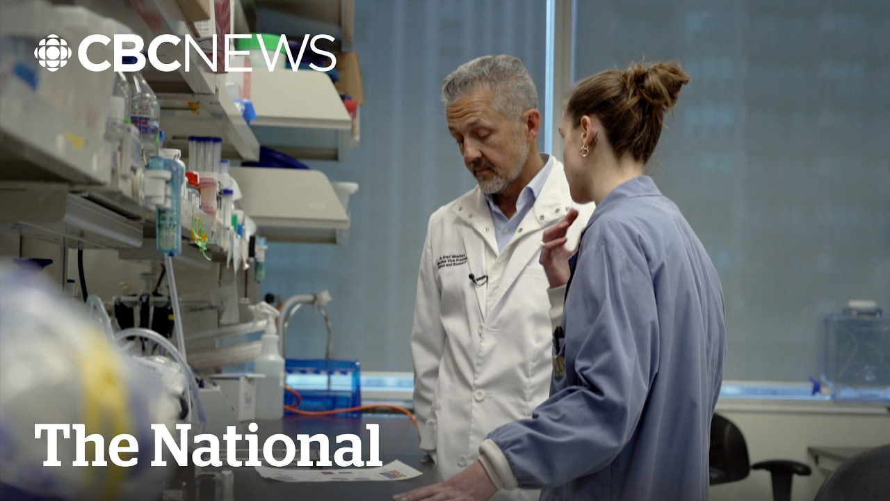 How Canada is trying to tap America&rsquo;s brain drain