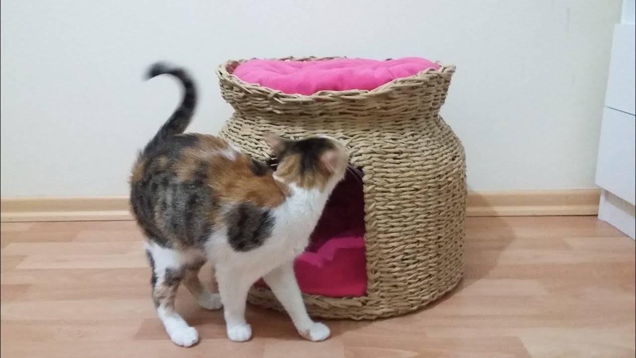 Gazeteden Hasır Kedi Evi Yapımı - Cat House - Geri Dönüşüm