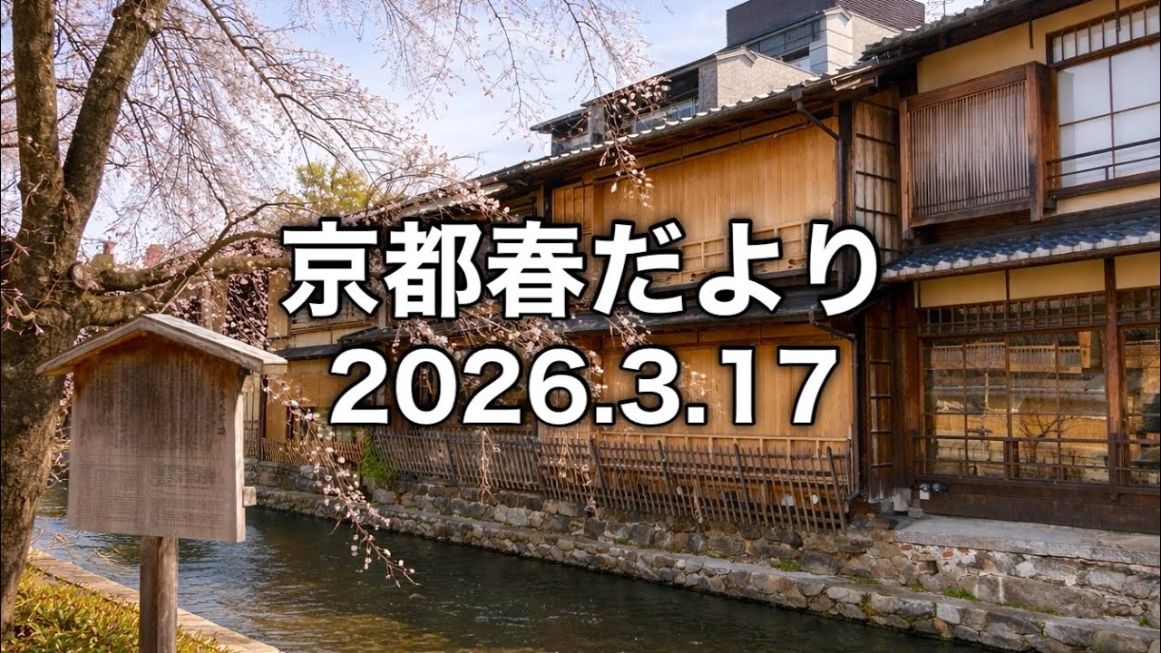 【京都桜速報】2026.3.17蹴上インクライン・円山公園・南禅寺・木屋町・京都御所
