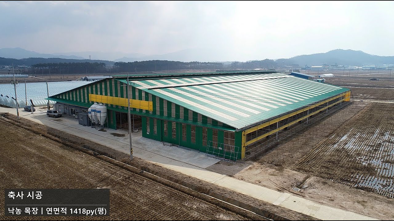 [축사TV] 축사 시공, 착유 축사, 신축, 낙농 목장,  cow house, cattle shed, a dairy farm
