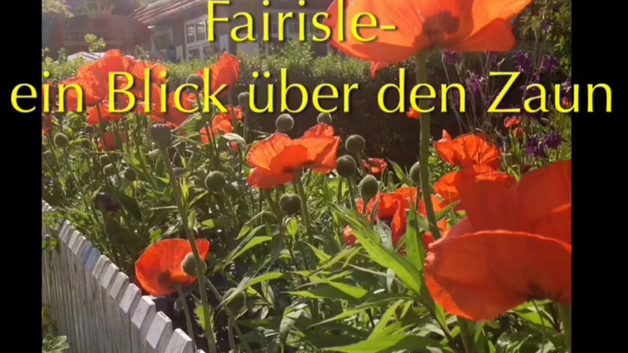 #Freystil8 Fairisle- ein Blick über den Zaun
