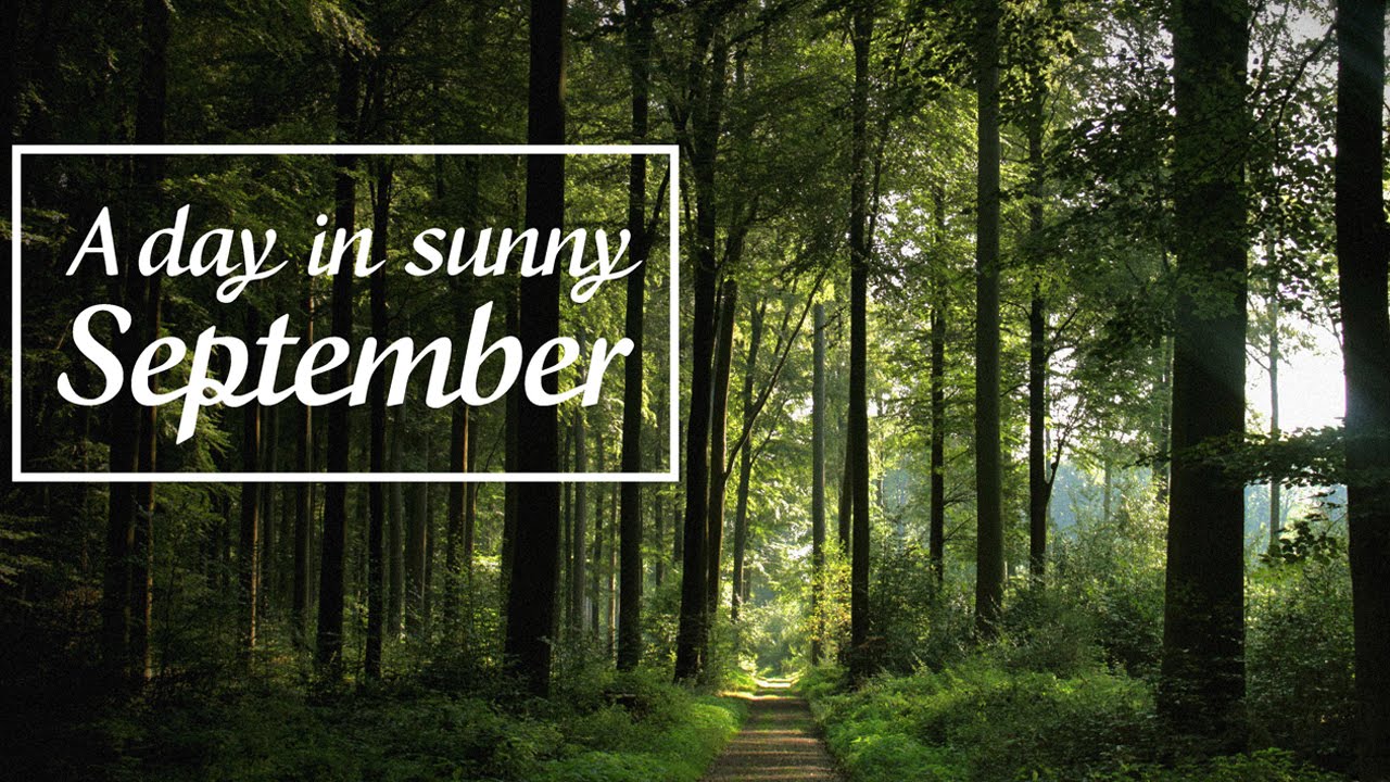 A day in sunny September - by Emmanuelle Rey