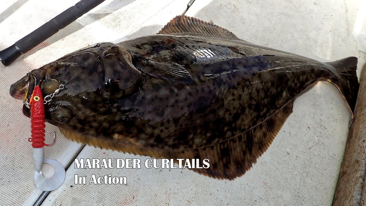 Halibut strike on the new Marauder Curltail lures in Norway Torsvag