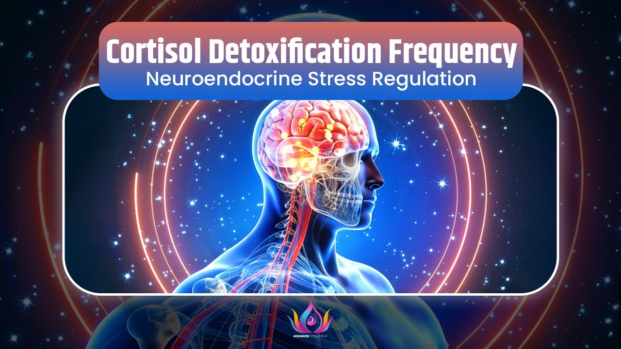 INSTANT Cortisol Detoxification Frequency| Neuroendocrine Stress Regulation & Nervous System Reset