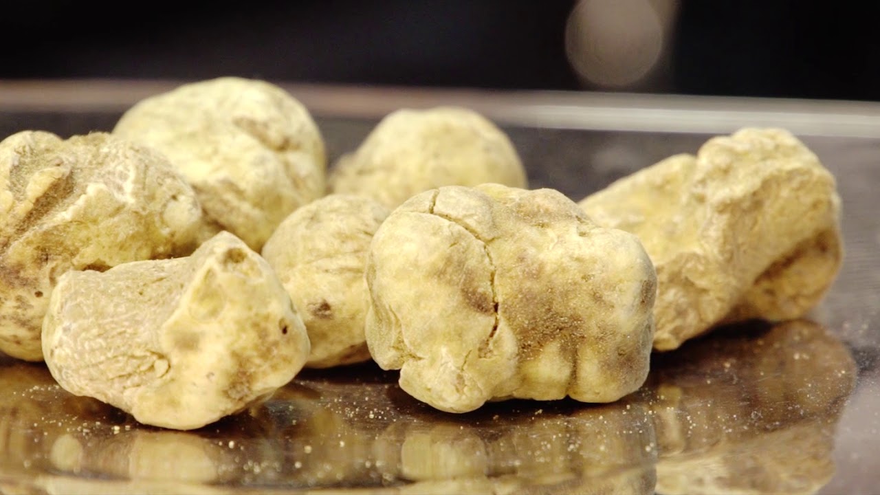 Fiera Internazionale del Tartufo Bianco d'Alba 2017 ITA