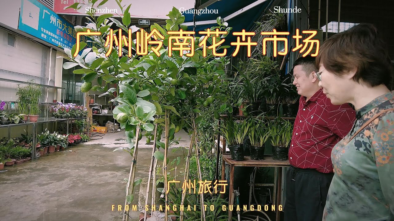 广州岭南花卉市场的奇花异果