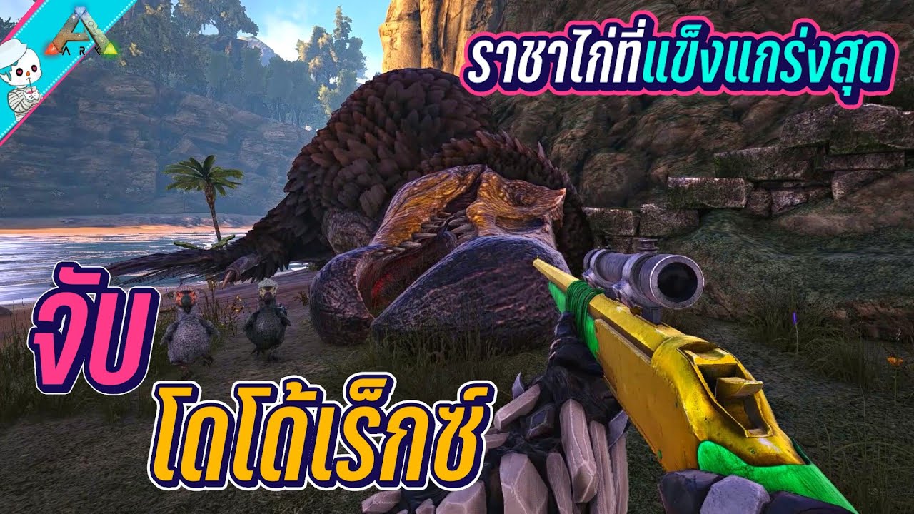 จับ โดโด้เร็กซ์ ราชาไก่ที่แข็งแกร่งที่สุด