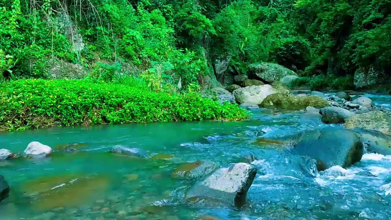 Beautiful Flowing Stream - Soothing Nature ASMR for Sleep, Focus and Relaxation, ASMR
