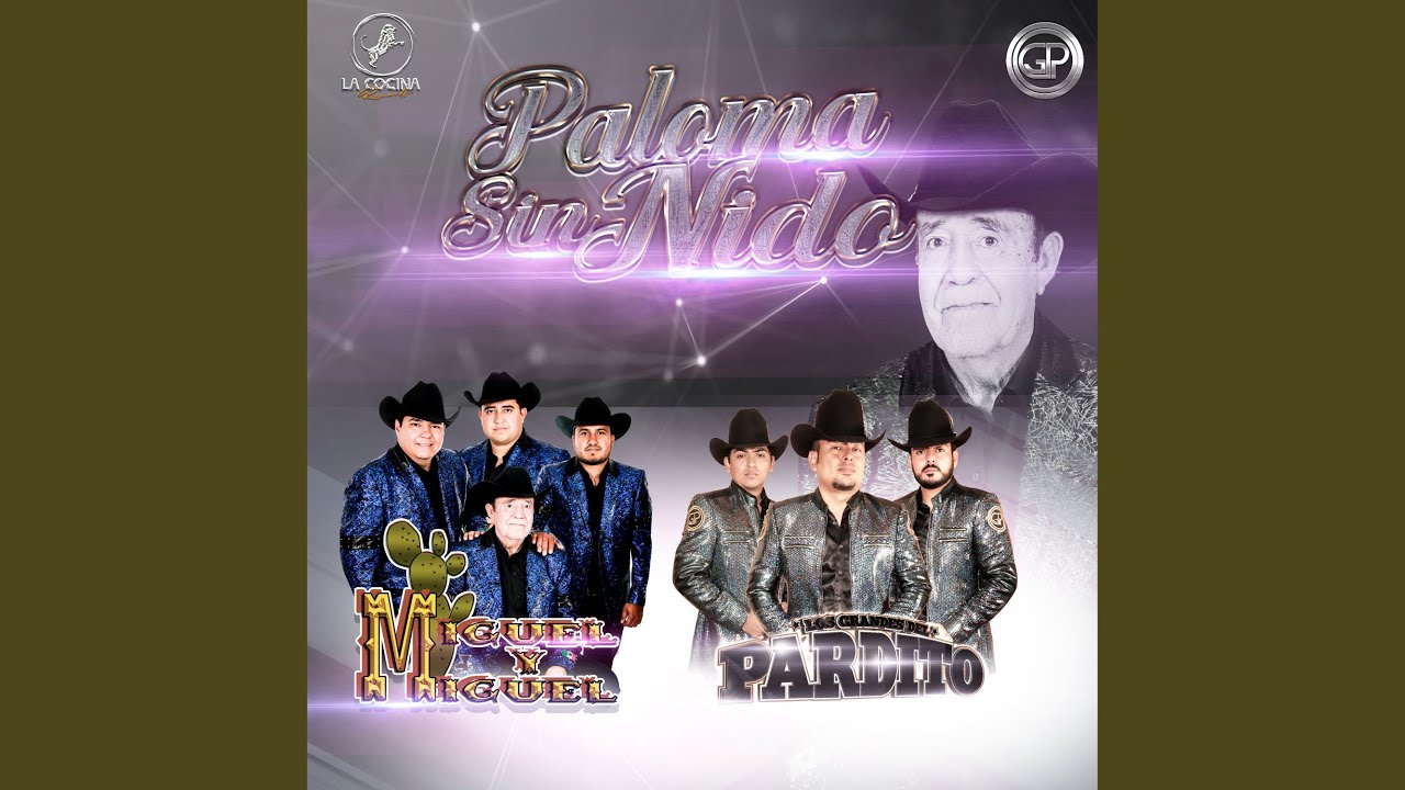 Paloma Sin Nido