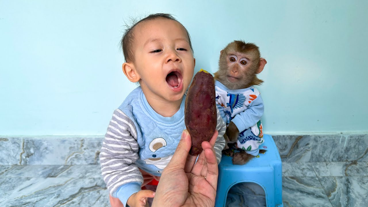 What would happen to Monkey Kaka and Diem if mom was away for a long time?