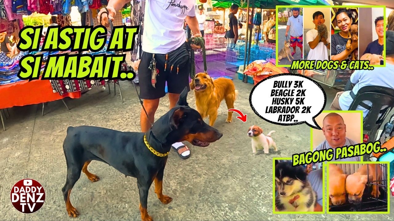 ETO NA INAABANGAN MGA BAGONG PASABOG.. / MAR. 1 @GROTTO PETS & LIVESTOCK MARKET