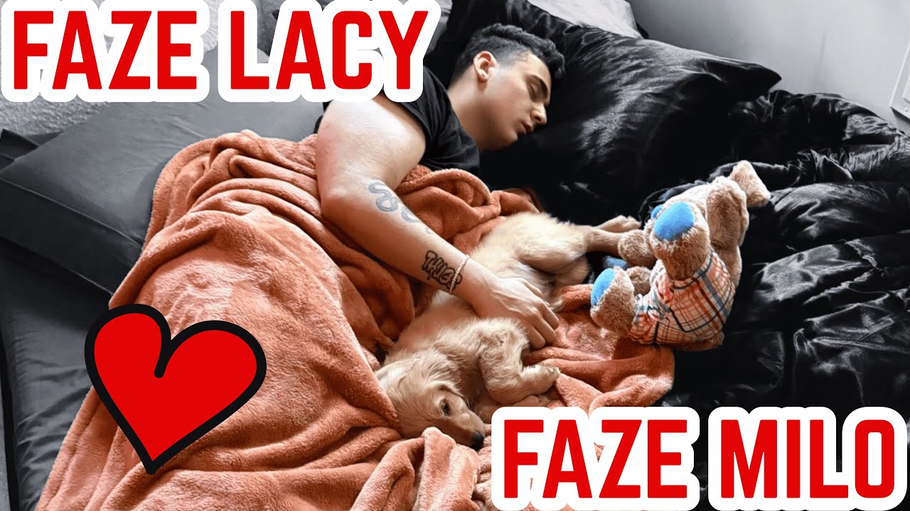 FaZe Milo теперь слишком привязан к Лейси!
