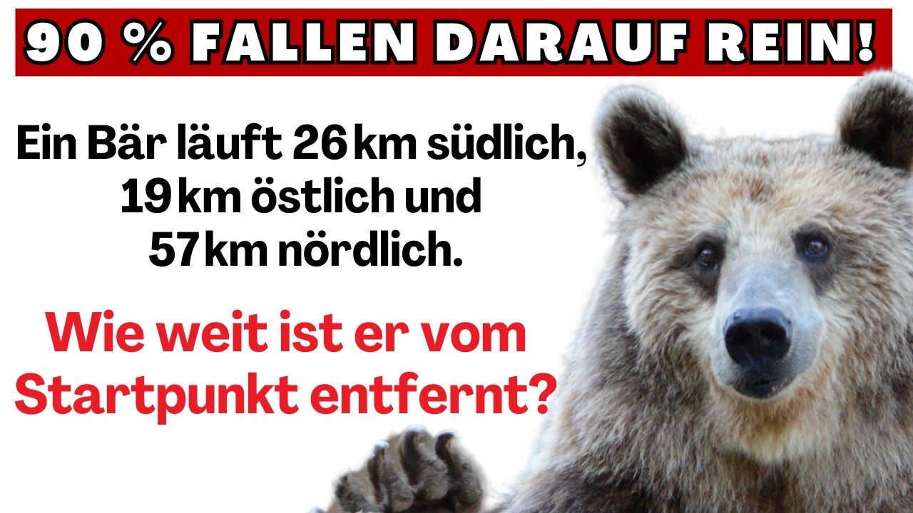 Tierische Mathematik: Bekommst du es hin? | Satz des Pythagoras, Winkel