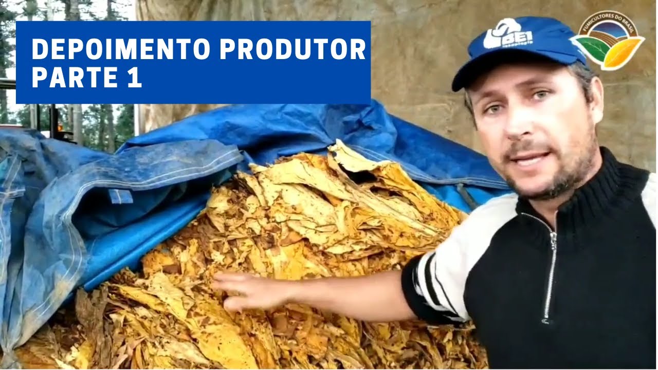 Depoimento Produtor - Secador de Carga Contínua BE1 - Parte 1