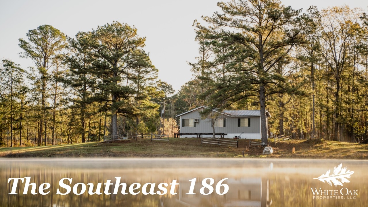 186-Acre Pine & Hardwood Property with a Cabin & Stocked Lake | Meridian, MS Hunting Property