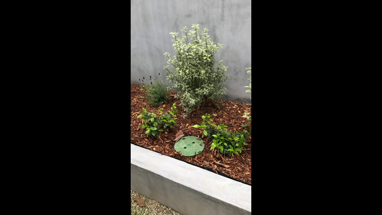 El Segundo Landscape Project - 6week