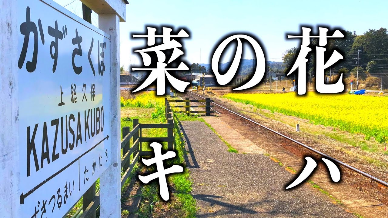 【このいかふぇ】鉄分多めの菜の花速報！里山は今が見頃ですよ！デザート４種盛りもお裾分けです！「小湊鉄道沿線菜の花ルポ」#古民家#古民家カフェ#このいかふぇ#月崎#古民家再生＃キハ＃上総久保＃田舎暮らし