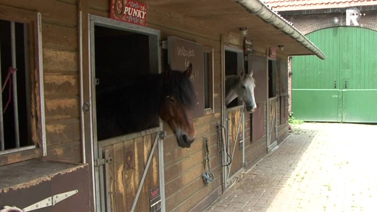 Dordtse manege definitief gered