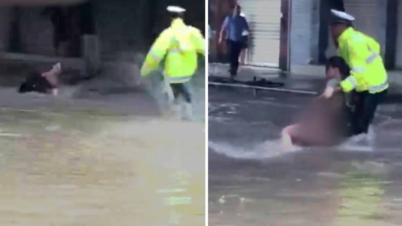 Police officer grabs woman swept away in heavy rain
