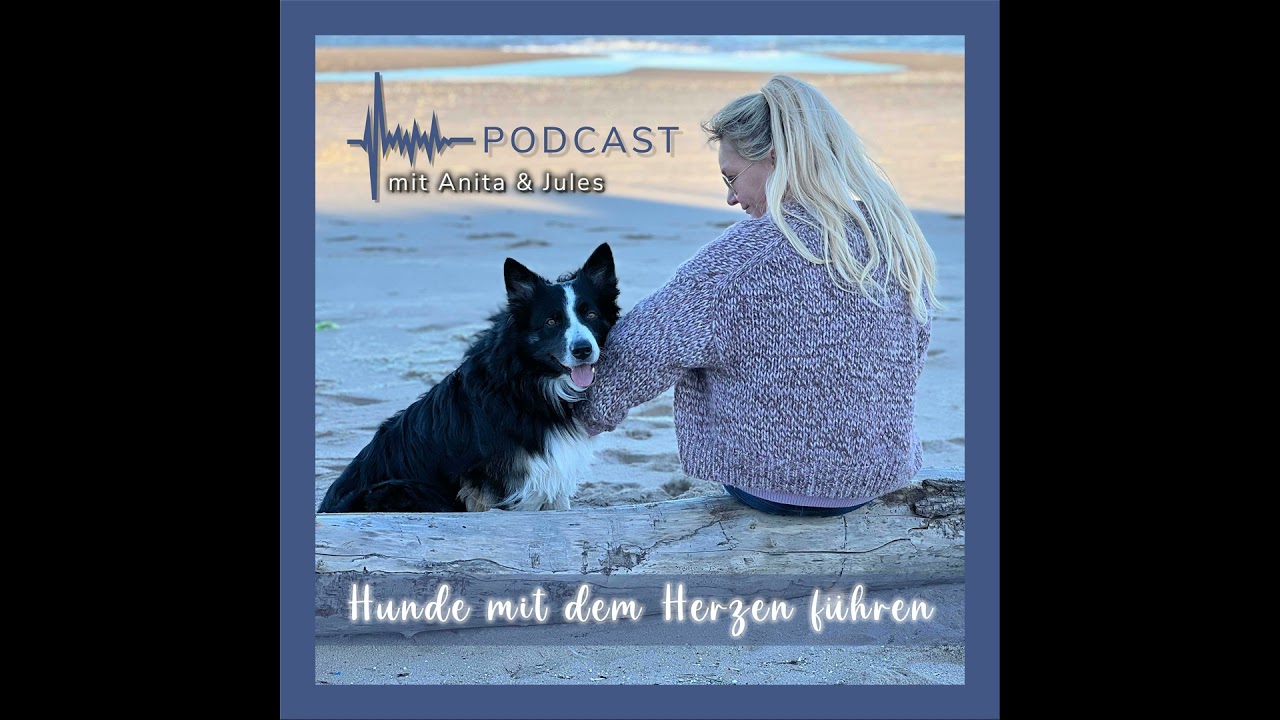 #4 Mit den Hunden nach einem Sinn suchen...