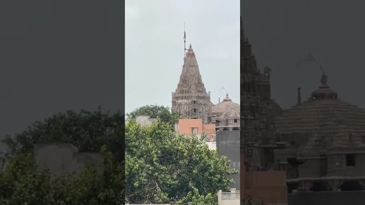 Dwarkadhish Temple Live Flag Hoisting Darshan with Vrinda Padhia… 