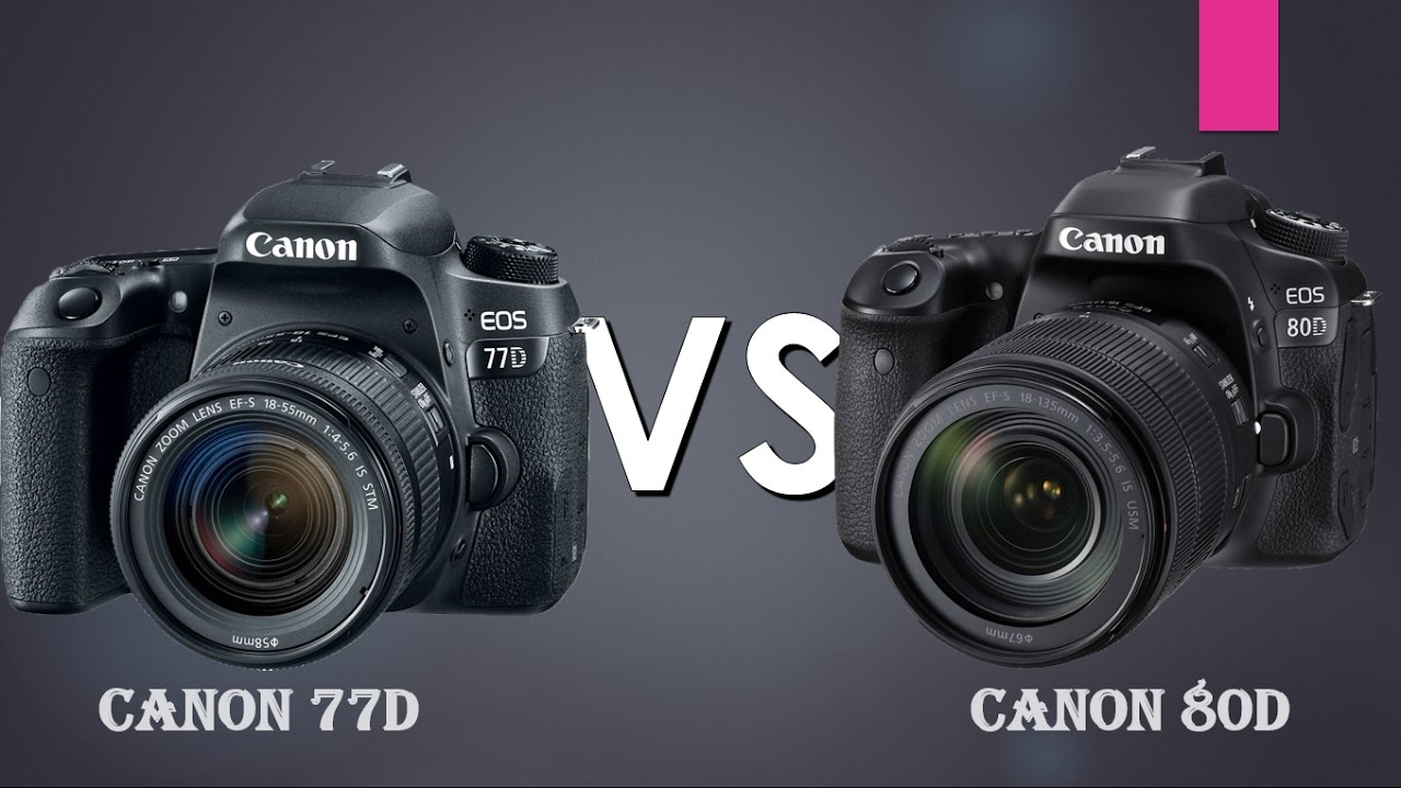 Canon 77D vs Canon 80D | Canon 77D | Canon 80D |