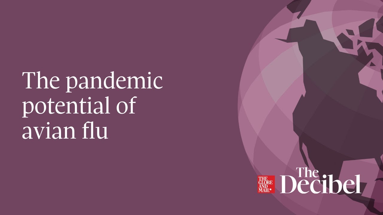The pandemic potential of avian flu - #podcast