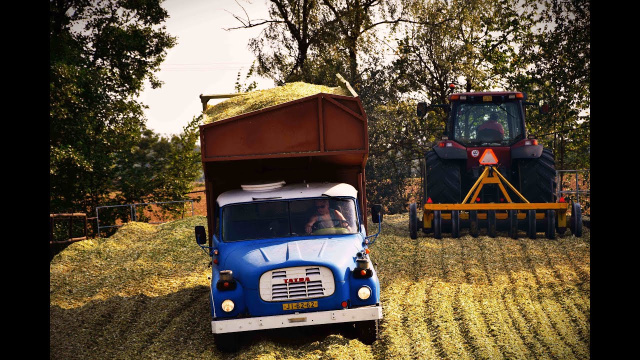 Siláže kukuřice 2024 Claas Jaguar 850 plus Tatry