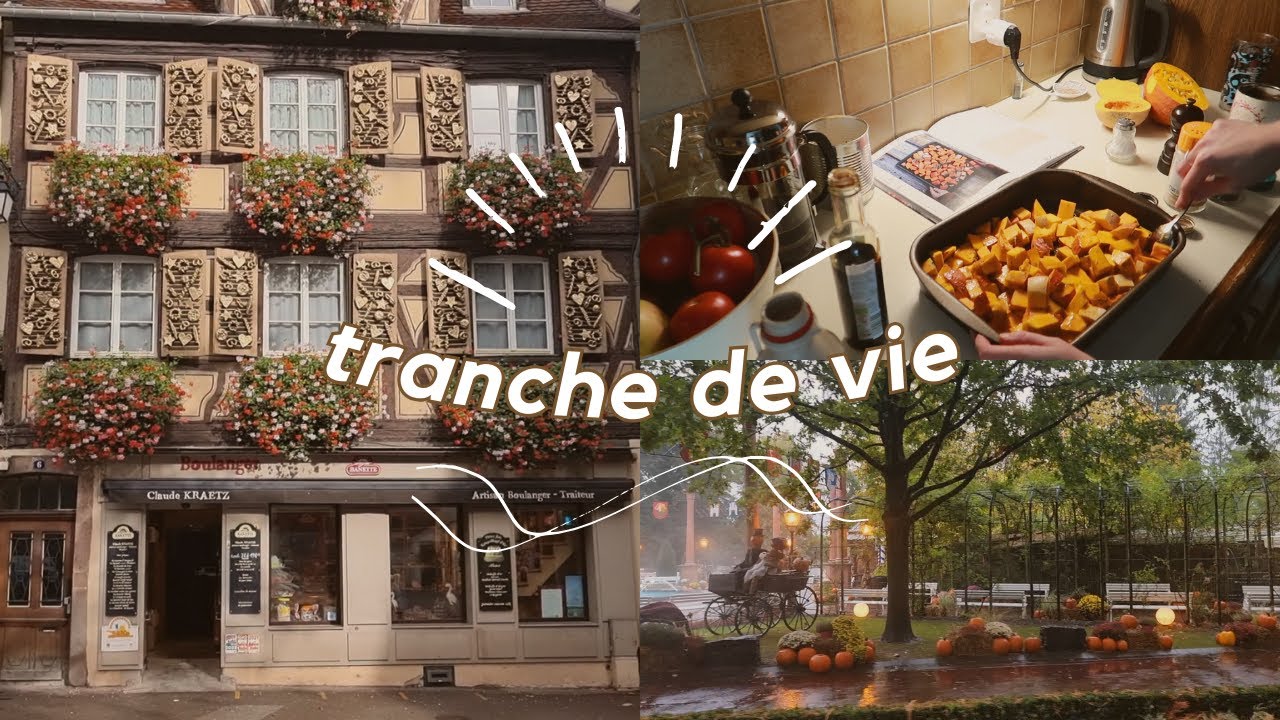 Les jeunes lecteurs ne sont pas bêtes & Europapark, Colmar 🥨
