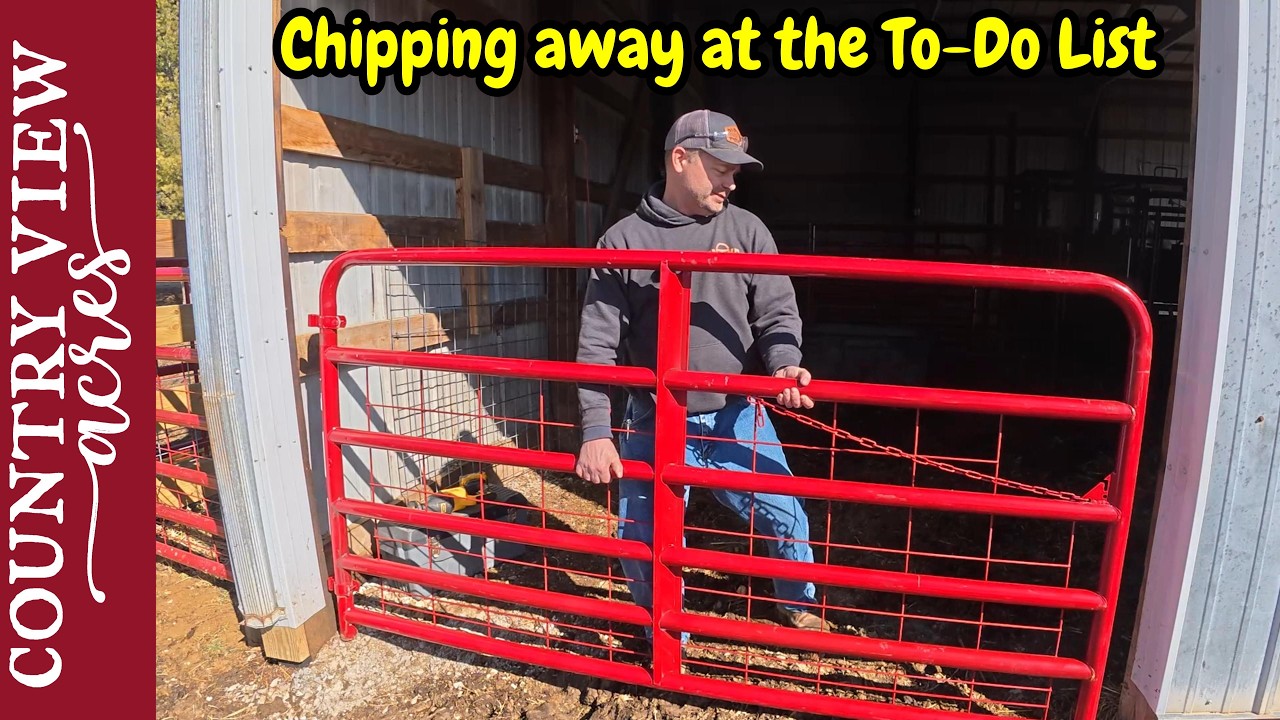 I Couldn't Waste a Day Like today.  Making progress on Projects around the Farm.