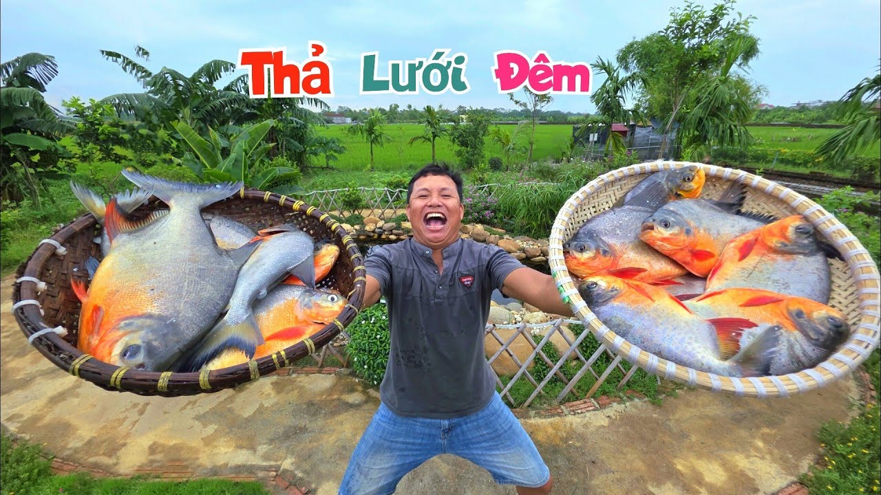 Không Ngờ Để Lưới Một Đêm Cá Nhiều Đến Mức Nhấc Lên Suýt Chìm Thuyền / Quế Nghịch
