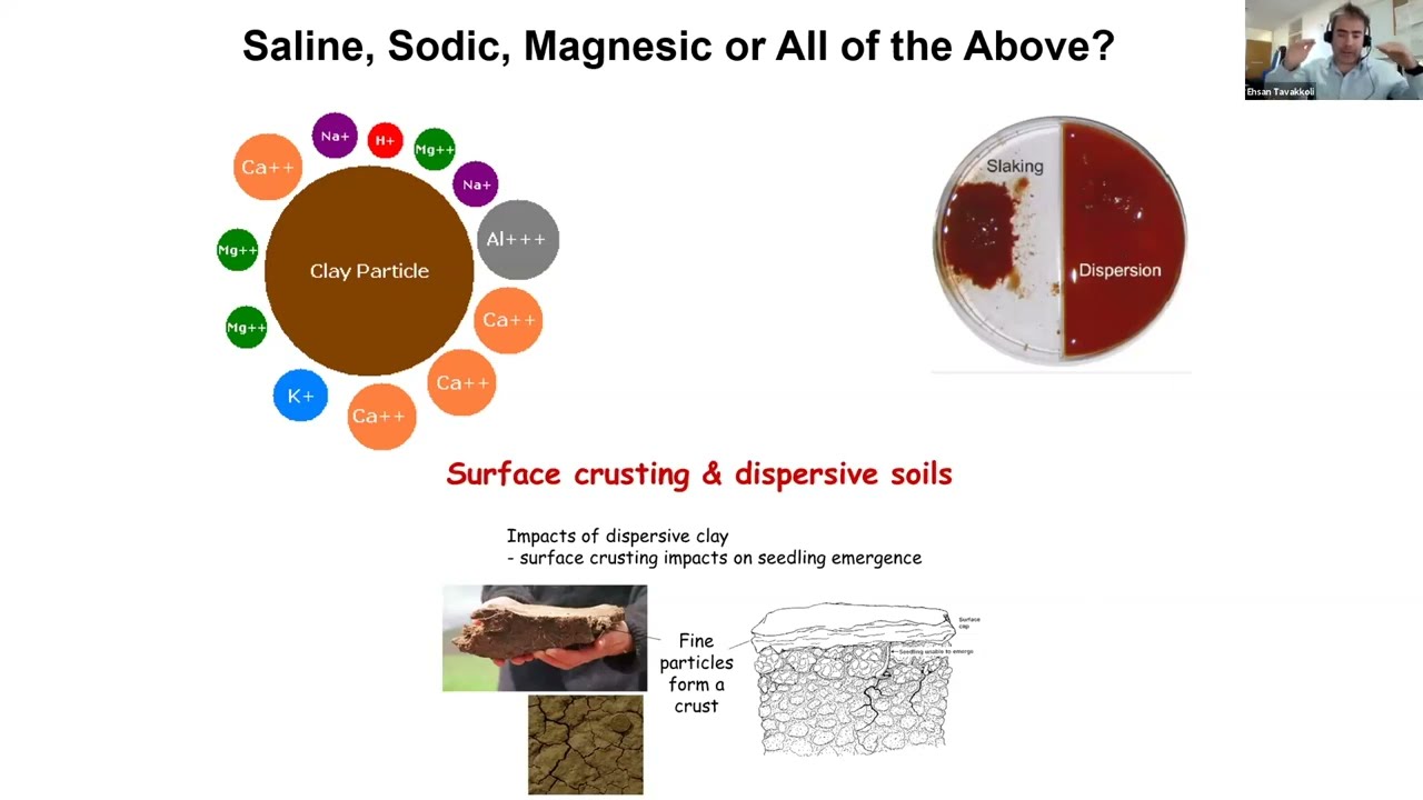 14 Managing Soil Constraints