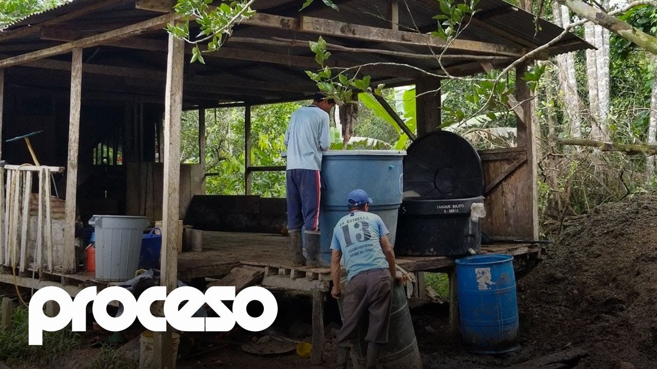 As&iacute; se fabrica y se exporta la coca&iacute;na colombiana