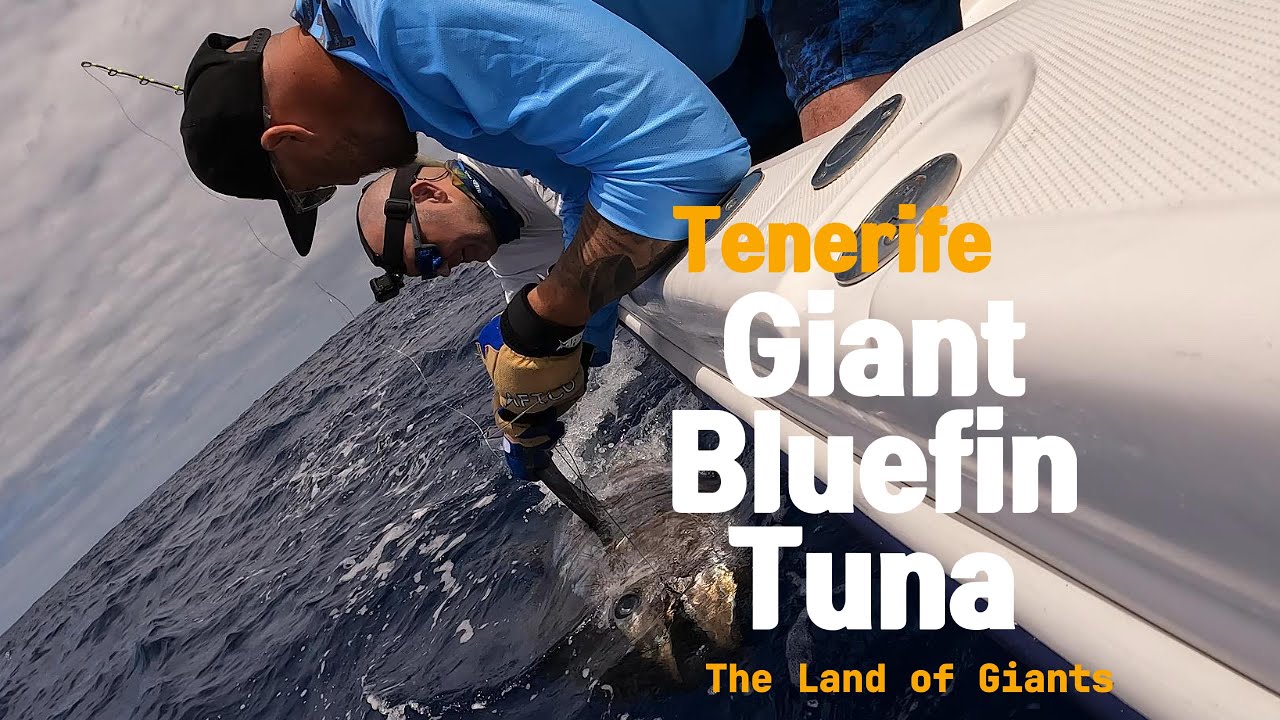 Giant Bluefin Tuna in Tenerife - Stand Up Fighting with HowK Titan Red, an effortless rod for giants