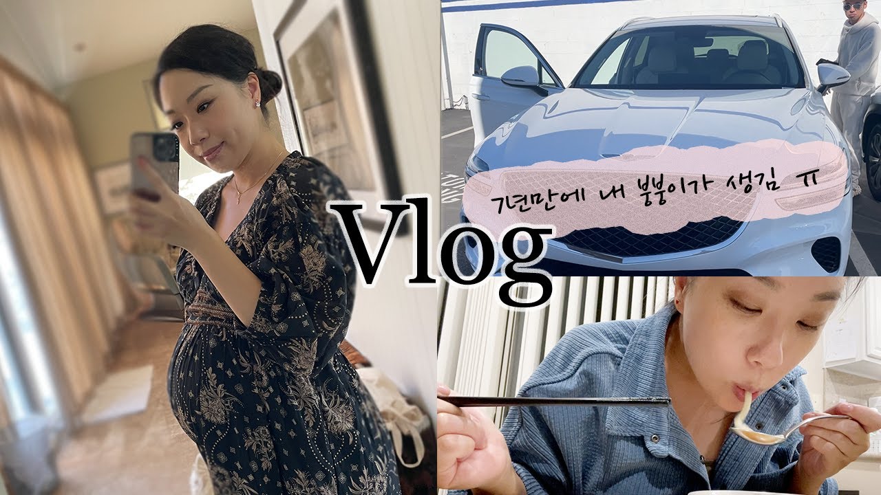 [LA일상] 드디어 내 차 장만! 🚗 #임신 25-33주, #베이비샤워 #추수감사절 #doona 카시트 유모차