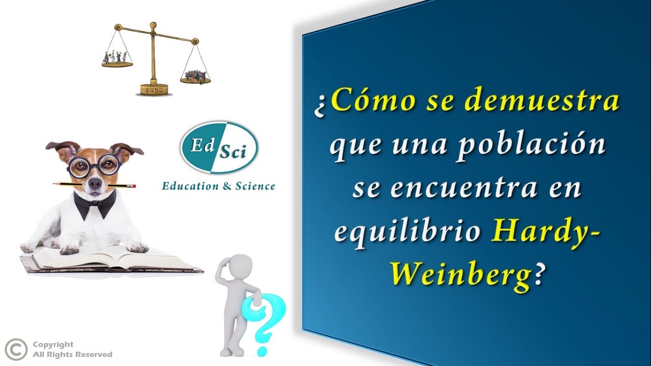 Equilibrio Hardy Weinberg a lo largo de las generaciones ⏳📊