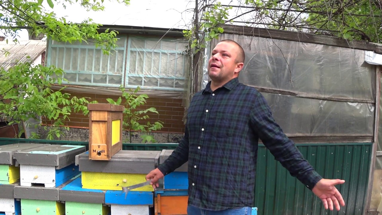 Сравнение прививочного ящика с классическим стартером