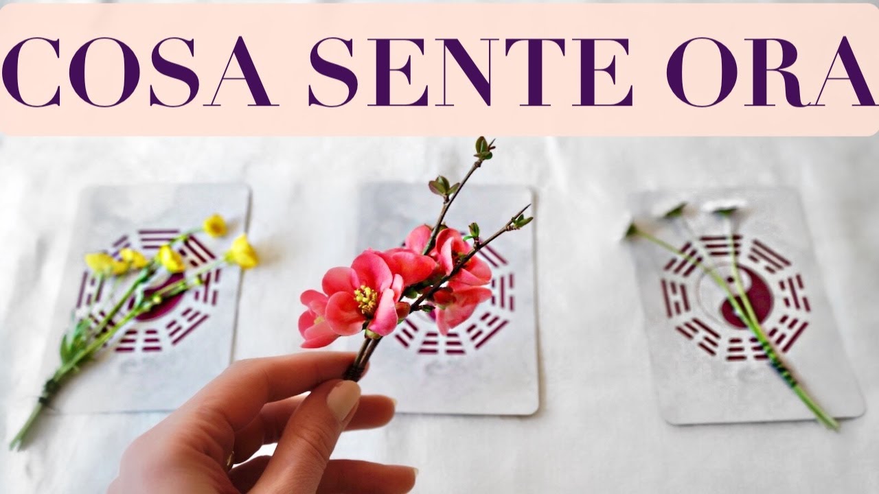 I SUOI SENTIMENTI AD OGGI? Cosa prova quando ti pensa? Tarocchi interattivi