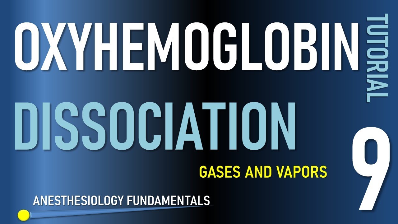 Кривая диссоциации оксигемоглобина и эффект Бора