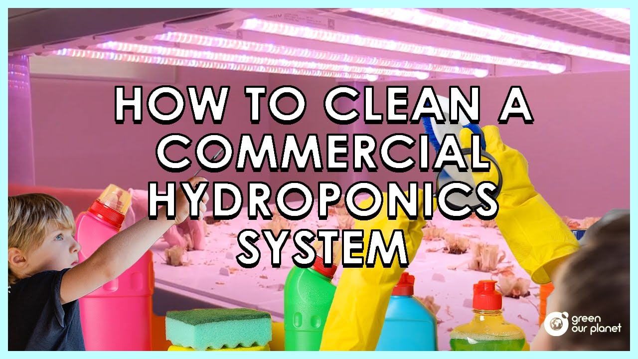 How to Clean a Sananbio Hydroponics System (Tutorial)