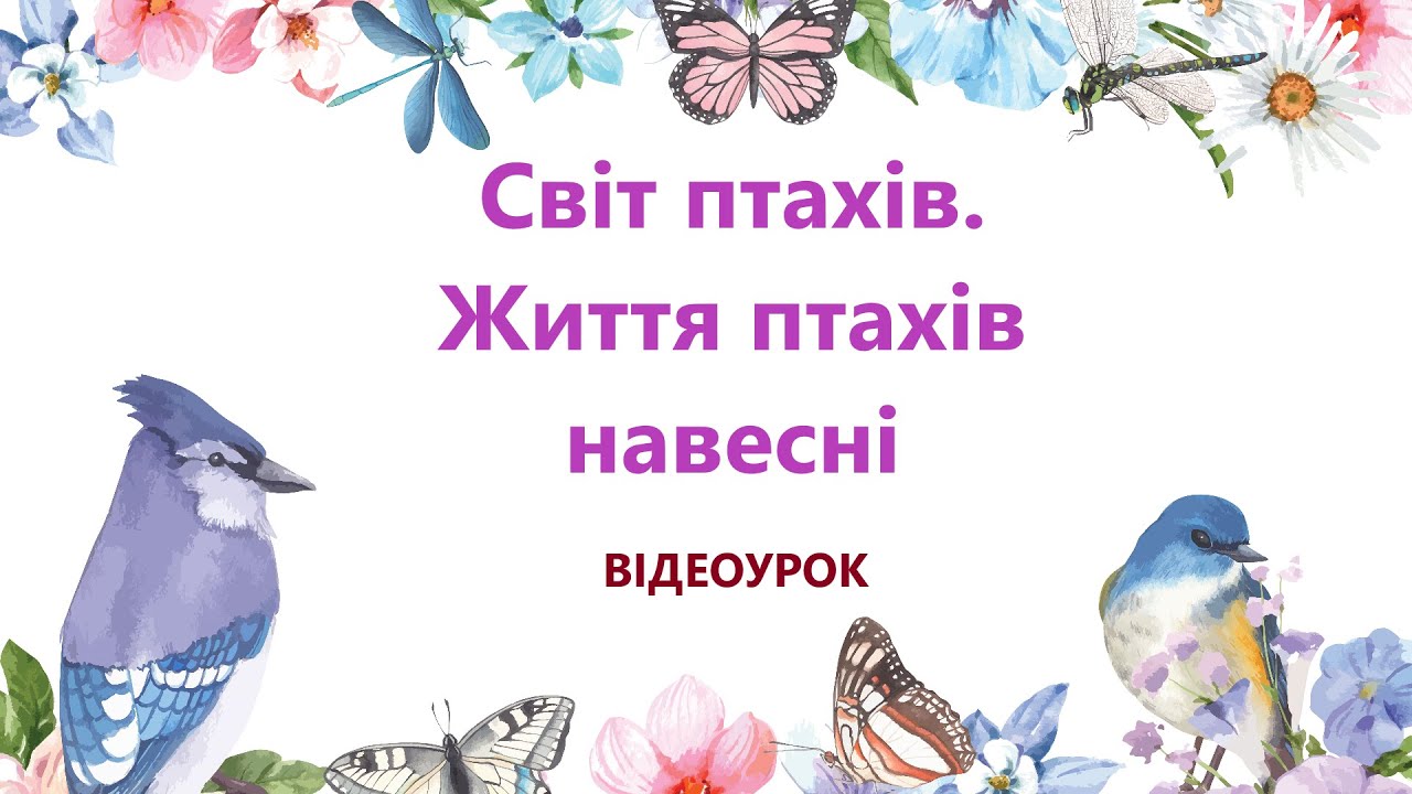 Природознавство - Тема уроку: Світ птахів. Життя птахів навесні