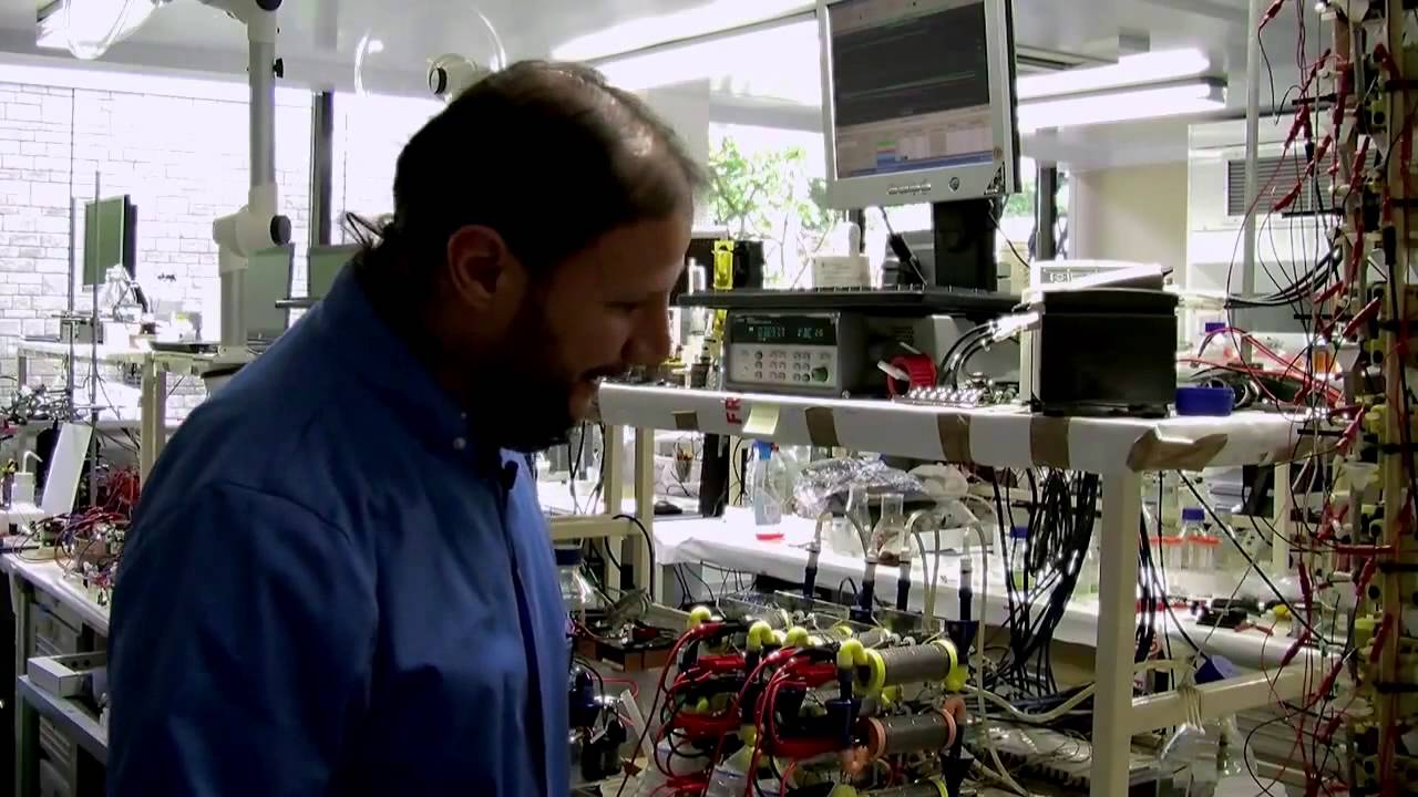 Urine Powered Mobile Phone Charger | Carregador de telemóvel com urina PTpt