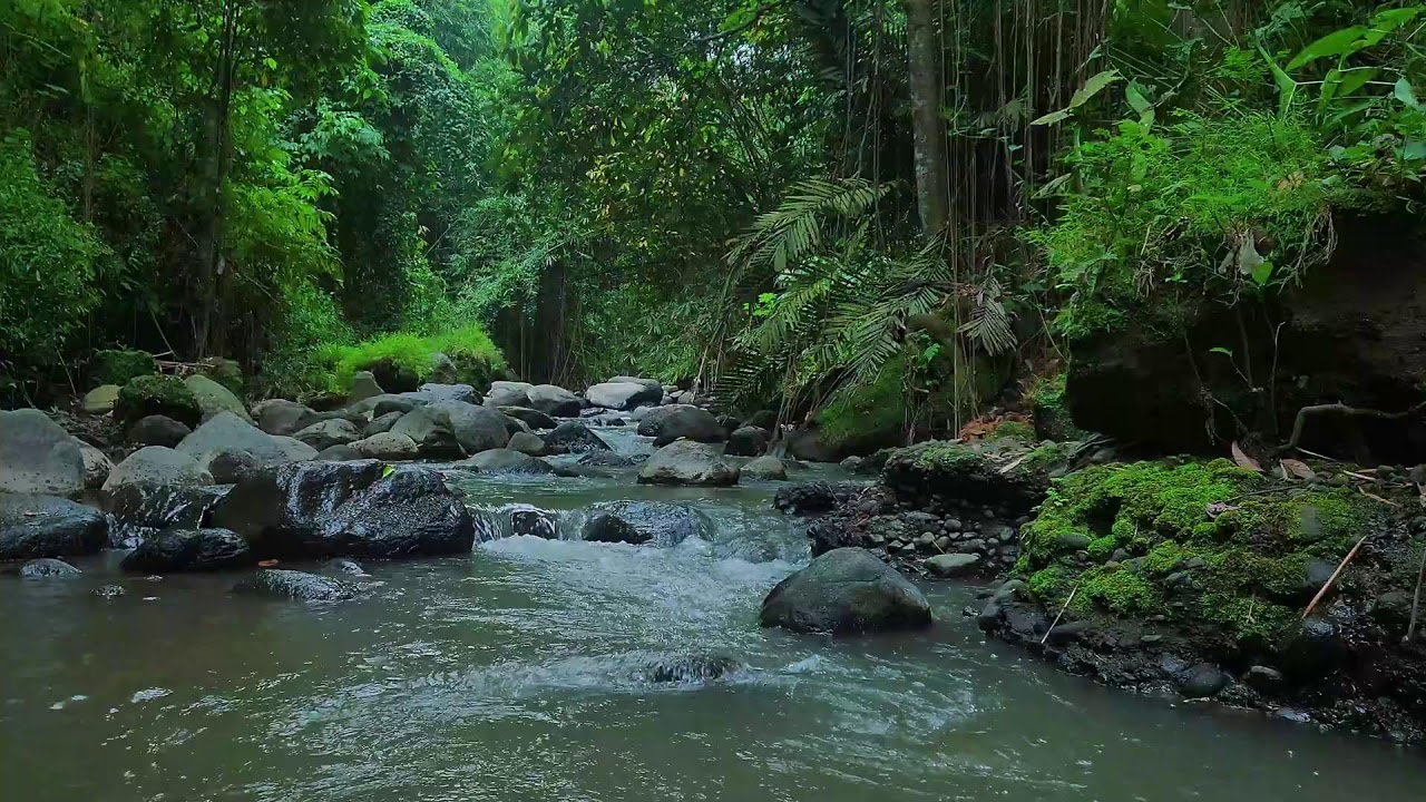 Purest Sounds of water &ndash; Moss Glen &mdash; no city noise, only creek.