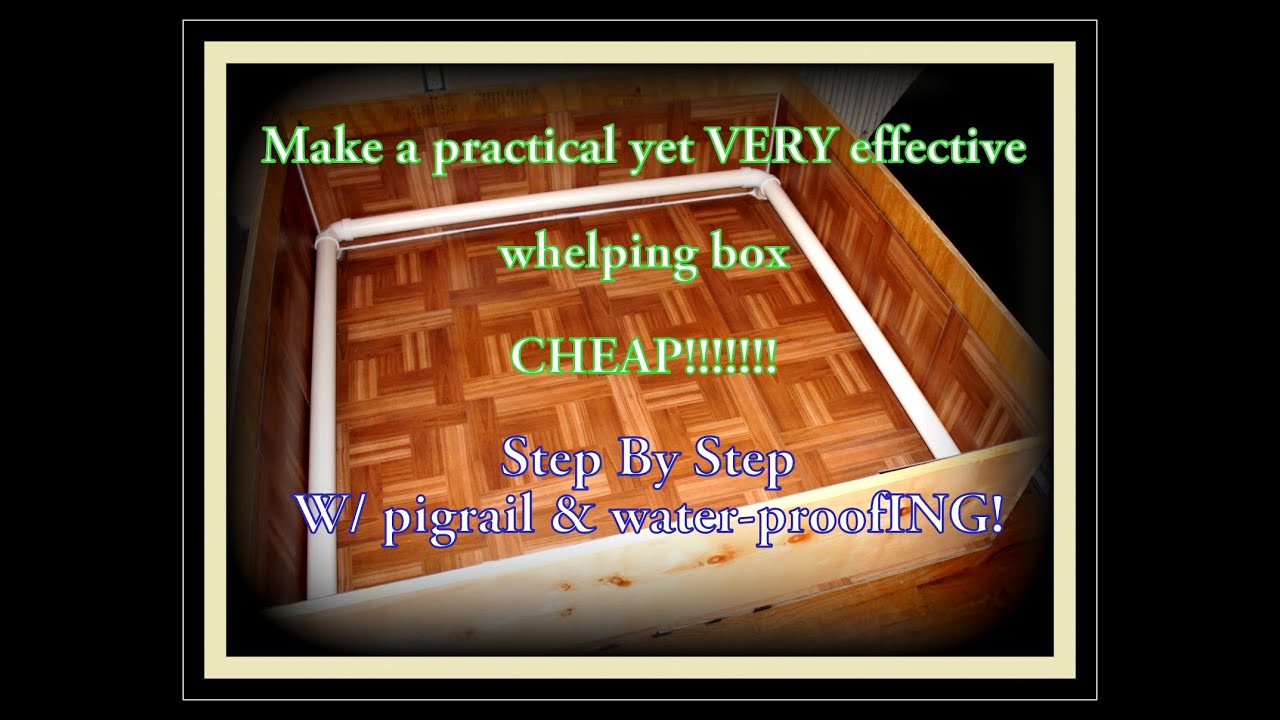 Making A Whelping Box: Easy Step By Step Guide With Pigrail CHEAP!