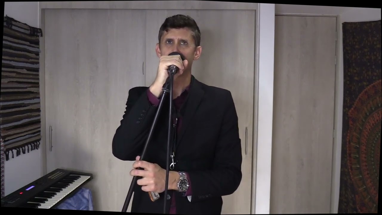 Multi Instrumentalist+Voice with Titles