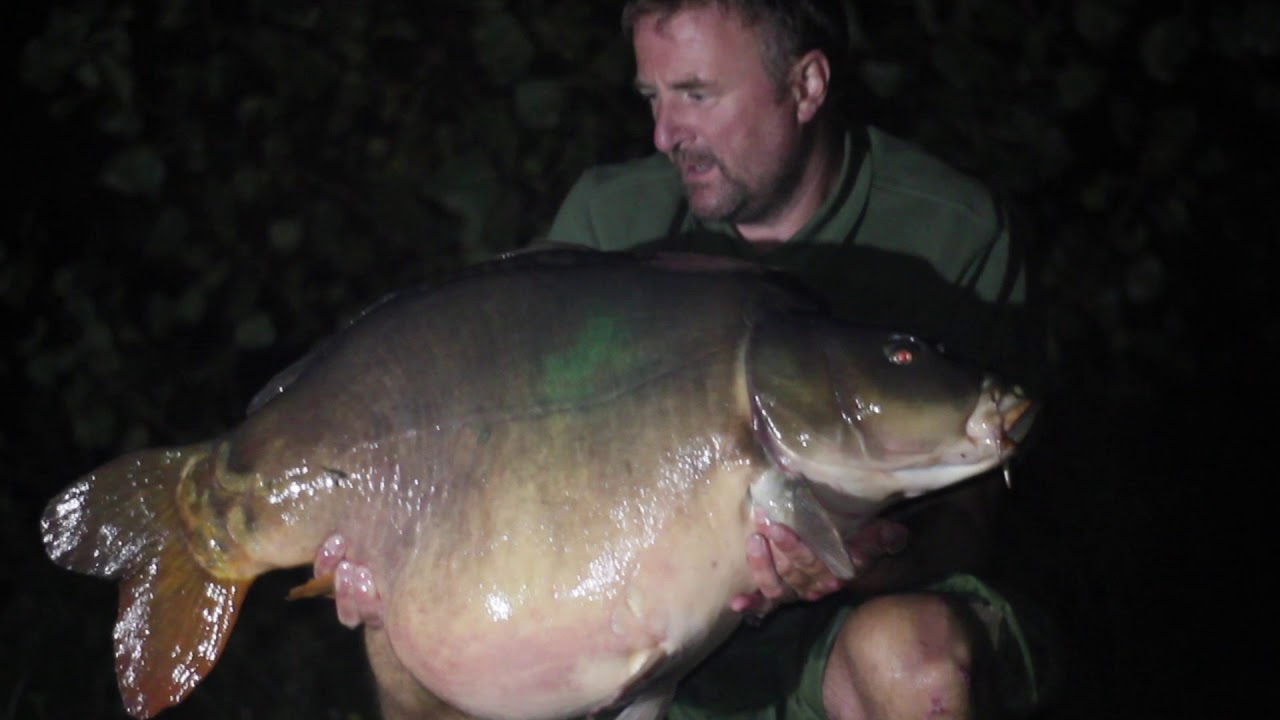 Etang 5