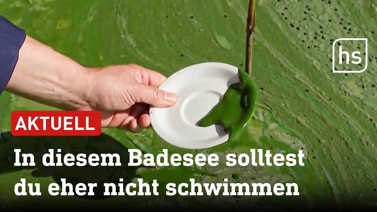 Blaualgen in 4 von 61 hessischen Badeseen nachgewiesen | hessenschau