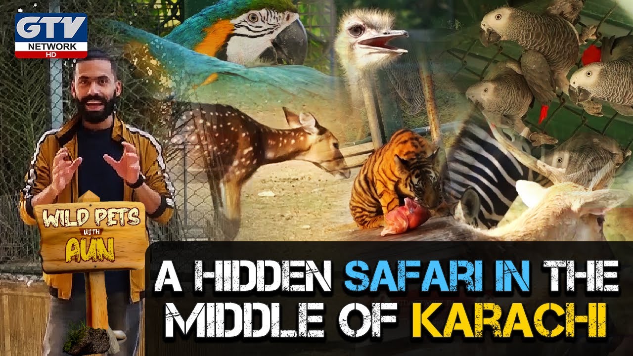 A Hidden Safari In The Middle of Karachi  I Wild Pets With Aun I Season 2 | 06 December 2020