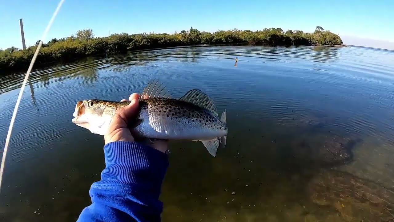 Sea Trout in the Morning AND Sheepshead in the Afternoon.