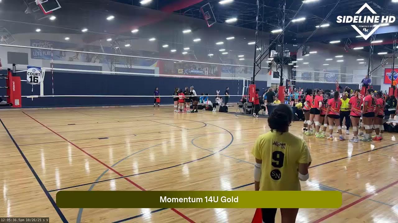 Momentum 13U Neon (2025.10.26)
